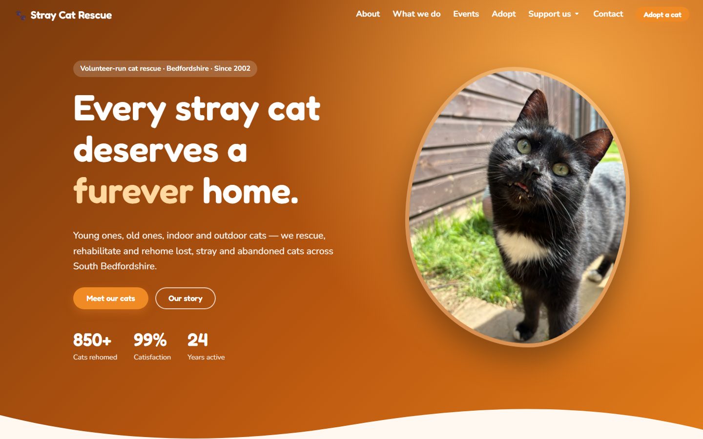 Screenshot of the Stray Cat Rescue website